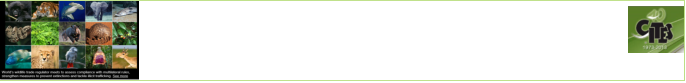CITES (the Convention on International Trade in Endangered Species of Wild  Fauna and Flora) is an international agreement between governments. Its  aim is to ensure that international trade in specimens of wild animals and plants does not threaten their survival…. cites.org