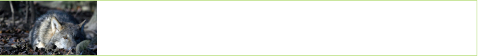 Der Wikdnispark Zürich Langenberg ist ein wissenschaftlich geführter Zoo und Mitglied  des Vereins zooschweiz. Die Mitglieder von zooschweiz verpflichten sich zu einer  qualitativ hochstehenden Tierhaltung, die sich am Wohlbefinden der Tiere orientiert…. wildnispark.ch