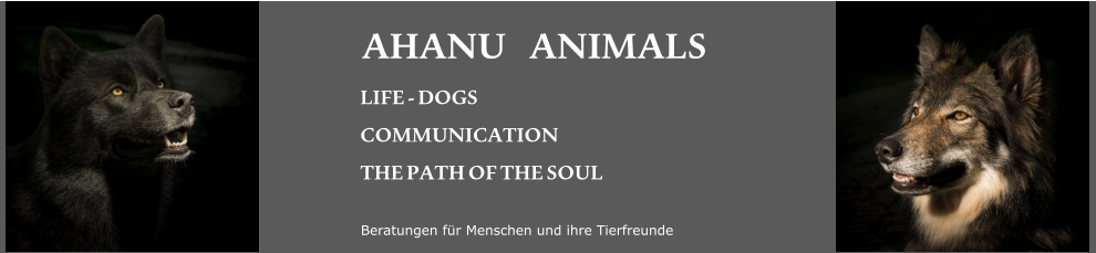 Beratungen für Menschen und ihre Tierfreunde LIFE  -  DOGS COMMUNICATION THE  PATH  OF  THE  SOUL  AHANU		ANIMALS