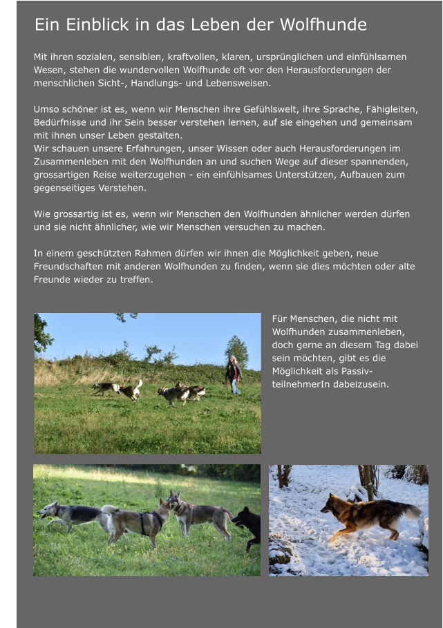 Ein Einblick in das Leben der Wolfhunde  				 	Mit ihren sozialen, sensiblen, kraftvollen, klaren, ursprünglichen und einfühlsamen Wesen, stehen die wundervollen Wolfhunde oft vor den Herausforderungen der menschlichen Sicht-, Handlungs- und Lebensweisen.   Umso schöner ist es, wenn wir Menschen ihre Gefühlswelt, ihre Sprache, Fähigleiten,  Bedürfnisse und ihr Sein besser verstehen lernen, auf sie eingehen und gemeinsam mit ihnen unser Leben gestalten.  Wir schauen unsere Erfahrungen, unser Wissen oder auch Herausforderungen im Zusammenleben mit den Wolfhunden an und suchen Wege auf dieser spannenden, grossartigen Reise weiterzugehen - ein einfühlsames Unterstützen, Aufbauen zum gegenseitiges Verstehen.  	Wie grossartig ist es, wenn wir Menschen den Wolfhunden ähnlicher werden dürfen und sie nicht ähnlicher, wie wir Menschen versuchen zu machen.   In einem geschützten Rahmen dürfen wir ihnen die Möglichkeit geben, neue Freundschaften mit anderen Wolfhunden zu finden, wenn sie dies möchten oder alte Freunde wieder zu treffen.   		Für Menschen, die nicht mit  		Wolfhunden zusammenleben,  		doch gerne an diesem Tag dabei  		sein möchten, gibt es die  		Möglichkeit als Passiv- 		teilnehmerIn dabeizusein.
