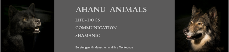 Beratungen für Menschen und ihre Tierfreunde LIFE  -  DOGS COMMUNICATION SHAMANIC AHANU		ANIMALS